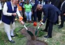 <div>Seychelles: PM Modi, President Herminie plant unique sapling under ‘Ek Ped Maa Ke Naam’ initiative (Ld)</div>