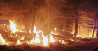Three US wildland firefighters killed near Colorado-Utah border as western fires surge