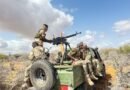 Somali army airstrikes kill 35 al-Shabaab militants