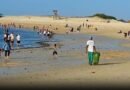 Gujarat govt’s emphasis on developing marine and island hotspots for boosting tourism