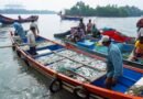 No trawlers, less fish: Kerala braces for price rise of a favourite staple
