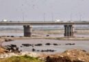 Pakistan failed to modernise its irrigation system, protect Indus delta: Report