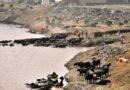 Pakistan river contamination crisis grows amid systemic governance failure: Report