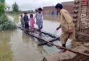 <div>Pakistan’s ecological stresses colliding with population growth, poor governance and outdated infrastructure: Report</div>