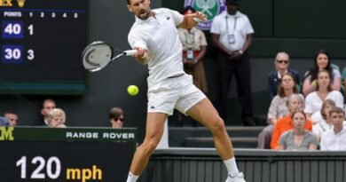 <div>Wimbledon: Djokovic equals Federer’s record with resilient third-round win</div>