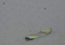 <div>Seven killed after tourist boat capsizes in Pakistan’s Khyber Pakhtunkhwa</div>