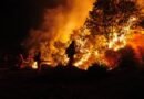 Wildfire rages in Spain, scorching 2,300 hectares of land