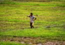 <div>India’s economy now less vulnerable to monsoon shocks: Report</div>