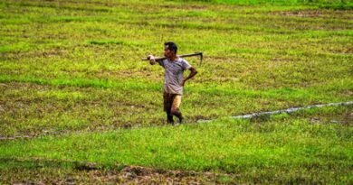 <div>India’s economy now less vulnerable to monsoon shocks: Report</div>