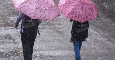 Monsoon lashes Gujarat, 35 disaster response teams deployed
