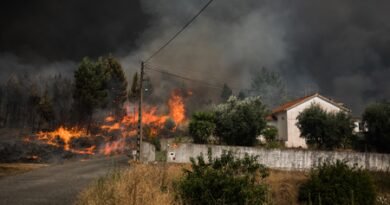 <div>Portugal’s wildfire-burned area nearly quadruples every year amid extreme heat</div>