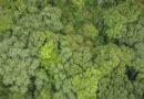 Mizoram University’s Natural History Museum gets Designated Repository tag
