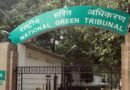 NGT issues notice over alleged environment violation by resort near Sariska Tiger Reserve