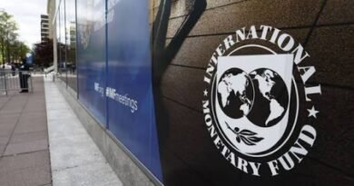 India resilient despite oil shock: IMF