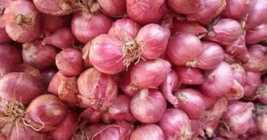 Onion prices jump in Chennai as Maharashtra supply drops, traders warn of further rise