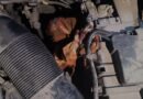 Delhi Police solve fake robbery case in four hours; complainant arrested