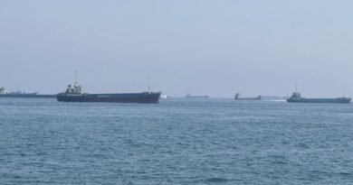 10 Indians on board rescued, one missing: India condemns attack on commercial vessel off Oman coast