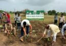 Western Railway targets over 8 lakh saplings in Ahmedabad Division under plantation drive