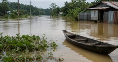 Flood situation improves in Assam, only Dhemaji remains affected