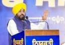 Punjab govt suspends DSP for cane-charging sanitation workers