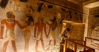 <div>New Kingdom tomb discovered in Egypt’s Luxor</div>