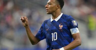 FIFA WC: England and France target redemption in bronze medal match