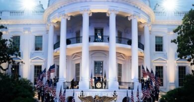 White House launches Gold Eagle cyber shield