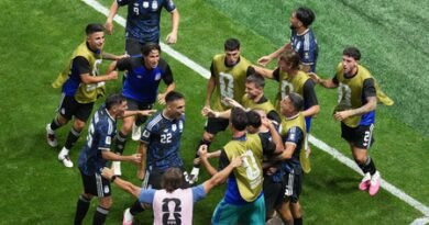 <div>FIFA WC: ‘Handling your nerves is the key in a World Cup final,’ says Klinsmann</div>