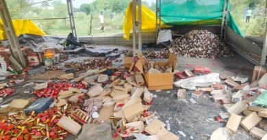 Ahmedabad firecracker factory blast: Licence cancellations, renewed illegal ops emerge