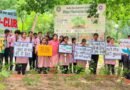 DDA plants 6.62 lakh saplings out of targeted 23 lakh this season