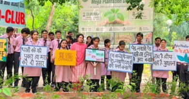 DDA plants 6.62 lakh saplings out of targeted 23 lakh this season