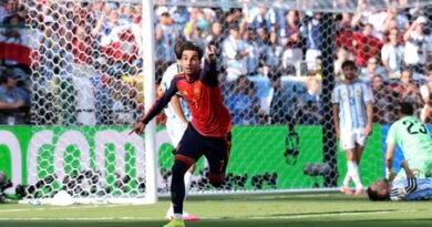 FIFA: Torres’ extra-time heroics fire Spain to World Cup glory