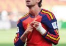 Torres says fate favoured Spain in World Cup final