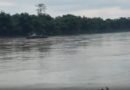 Assam flood: More than 3.1 lakh affected in 11 districts; several rivers flowing above danger marks