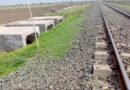 <div>India’s first railway lion underpass completed in Gujarat</div>