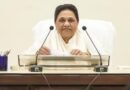 Mayawati urges focus on education reform, not politics, over NEET paper leak row