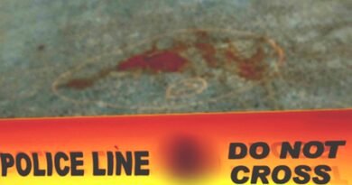 <div>Two-year-old girl dies after falling into Lake Pichola from hotel window in Rajasthan’s Udaipur</div>
