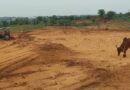 Gujarat hikes assistance for levelling free residential plots for rural homeless families