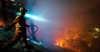 State-of-the-art research facility that aims to minimise forest fires opened in Himachal
