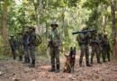 ‘Nation salutes its brave personnel’: VP Radhakrishnan, Amit Shah extend wishes on CRPF Raising Day