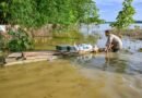 Assam flood: Former Speaker defends his foreign trip during deluge