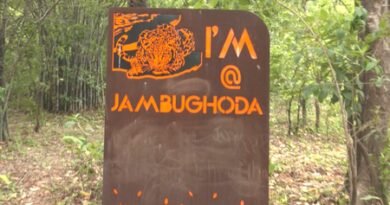 Gujarat: Dhanpuri eco-tourism centre in Panchmahal emerges as tourist hotspot