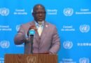 Process for electing next UN chief starts with preliminary UNSC poll 