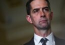 US senator warns against Chinese AI models