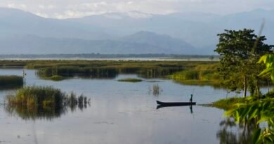 Unexpectedly wet July exposes climate change: Study
