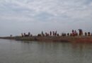 Bengal govt cracks down on fish farms built illegally after clearing Sundarbans mangroves