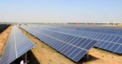 Gujarat cuts nearly 50 million tonnes of carbon emissions in FY26