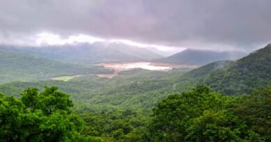 Heavy rain, strong winds to lash Western Ghats districts of TN till August 6