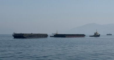 Iran, Oman reach understanding on Hormuz Strait reopening deal: Reports