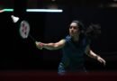 <div>Sindhu supports ‘efforts’ to tackle monkey menace at World Championship venue</div>